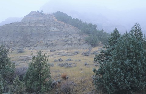 Framed Theodore Roosevelt National Park 11 Print