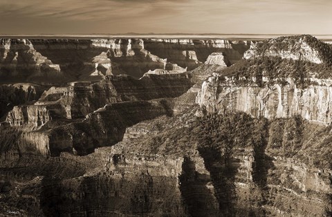 Framed Sepia Grand Canyon 1 Print