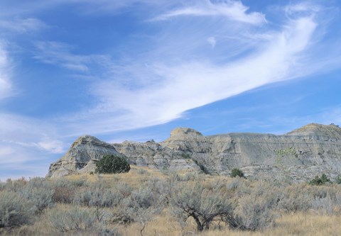 Framed Theodore Roosevelt National Park 46 Print