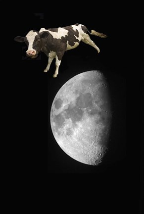 Framed Spotted Cow Over The Moon Print