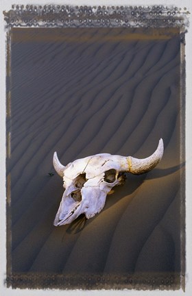 Framed Deserted Skull Brown Sand Print