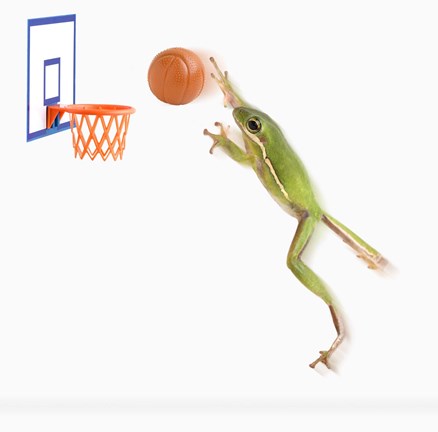 Framed Frog And His Basketball Print