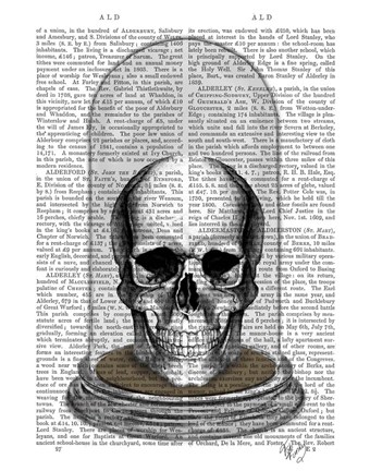 Framed Skull In Bell Jar Print