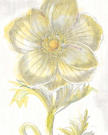 Framed Belle Fleur Yellow II Crop Print