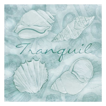 Framed Tranquil Shells Print