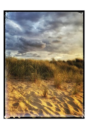 Framed Dune Grass and Sky Print