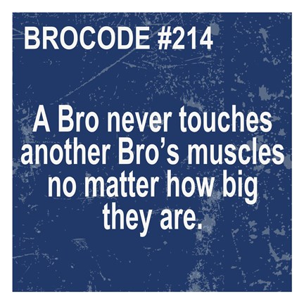 Framed Bro Code 214 Print