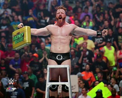 Framed Sheamus 2015 Action Print