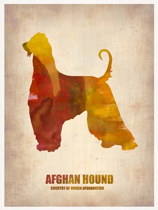 Framed Afghan Hound Print