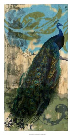 Framed Rustic Peacock I Print