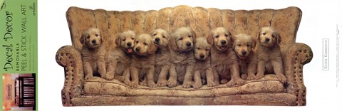 Framed Golden Puppy Line Up Print