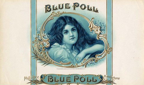 Framed Blue Poll Print