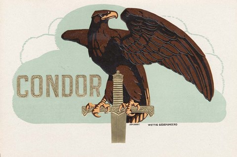 Framed Condor Print