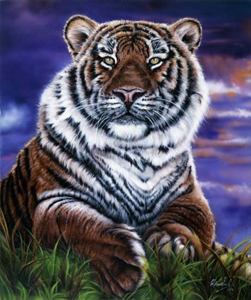 Framed Arizona Tiger Print