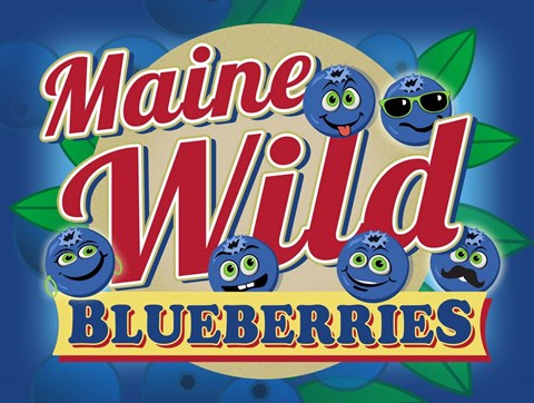 Framed Maine Wild Blueberries Print