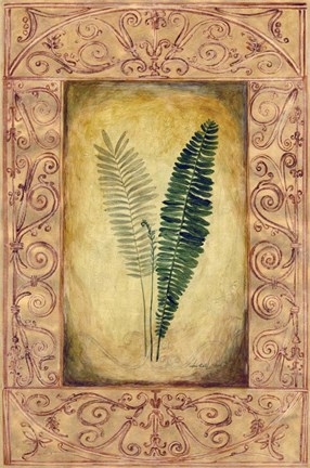 Framed Decorative Ferns II Print