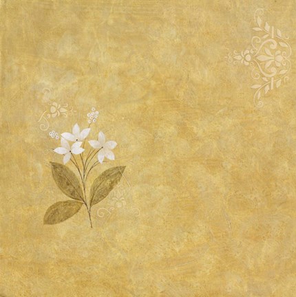 Framed White Flower on Gold Print