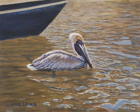 Framed Sparkling Water Pelican Print