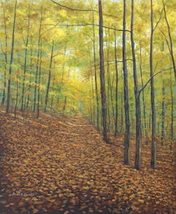 Framed Autumn Trail Print