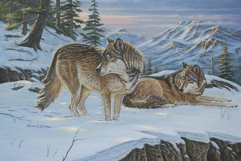 Framed Vantage Point Wolves Print