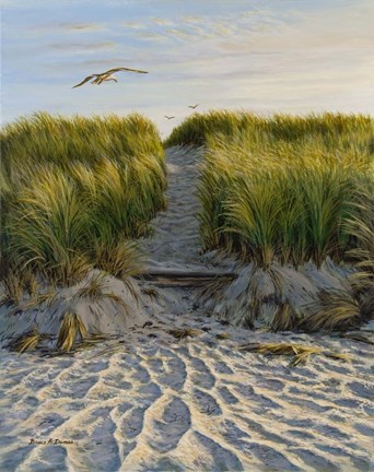 Framed Dune Path Gull Print