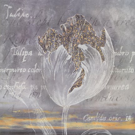 Framed Botanic Dove I Print