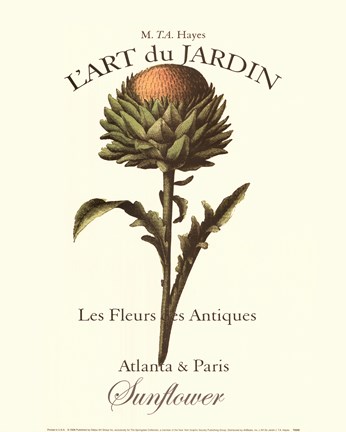 Framed L&#39;art Due Jardin I Print