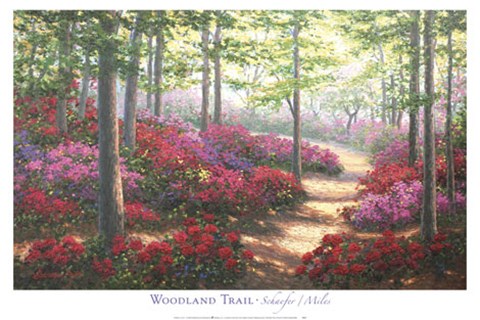 Framed Woodland Trail Print