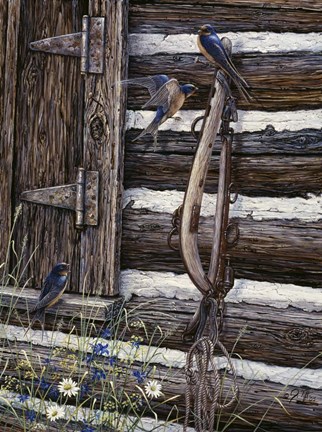Framed Barn Swallows Print