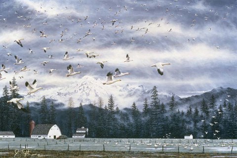 Framed Geese Flying Over Farmland Print