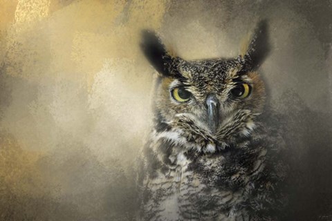 Framed Golden Eyes Great Horned Owl Print
