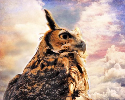 Framed Majestic Great Horned Owl Print