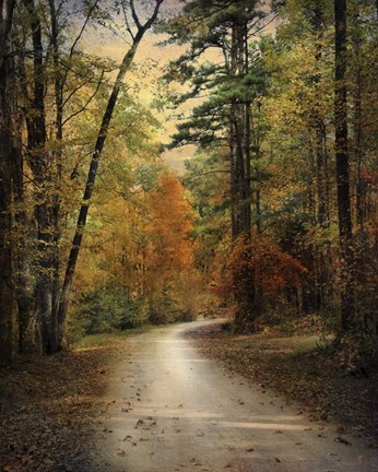 Framed Autumn Forest 4 Print