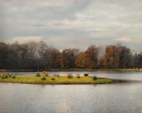 Framed Autumn Rising At The Duck Pond Print