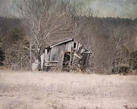 Framed Remains Of Winter Print