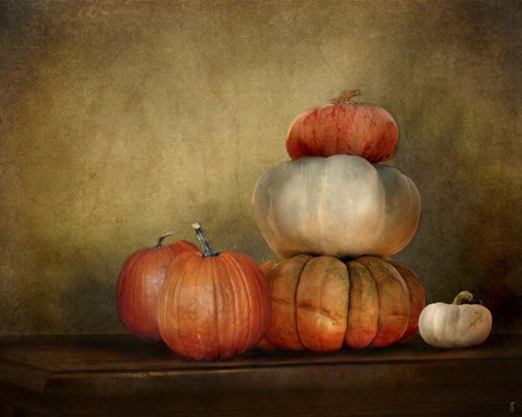 Framed Pumpkins Still Life Print
