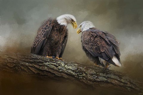 Framed Quiet Conversation Bald Eagles Print