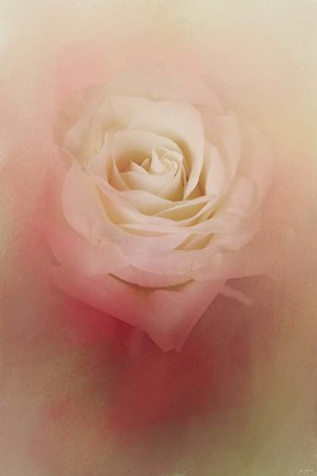 Framed Valentine Rose Print