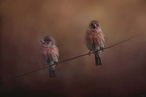 Framed Pair Of Finches Print
