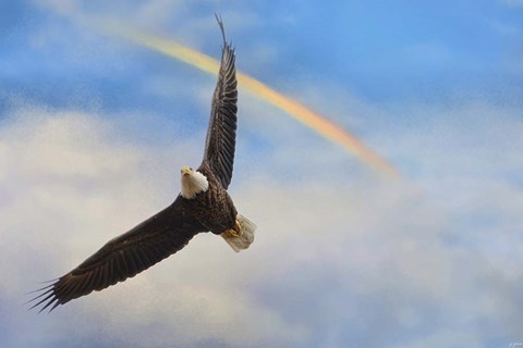 Framed When My Wings Touch The Rainbow Print