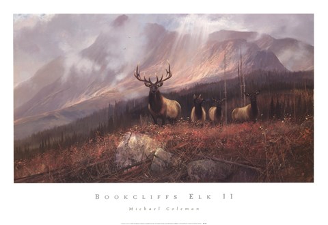 Framed Bookcliffs Elk II Print