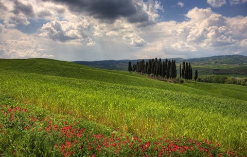 Framed Italy I Print