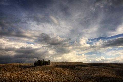 Framed Tuscany V Print