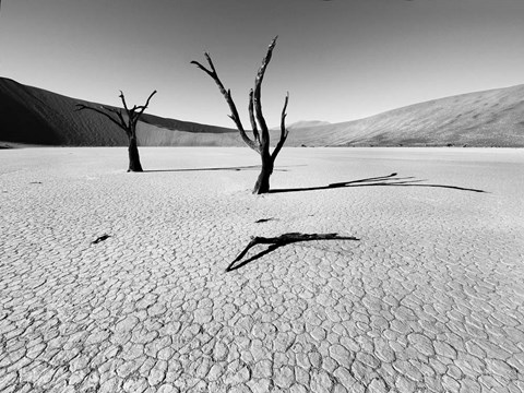 Framed Namibia Dead Vlei Print