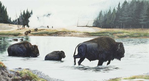 Framed Spirit Of Yellowstone Print
