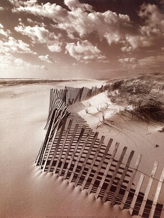 Framed Klug Beach Fence Print
