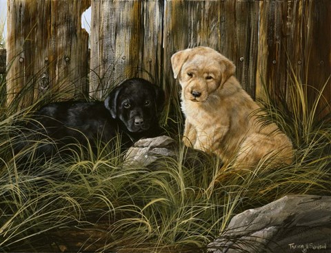 Framed Lab Pup Pair Print