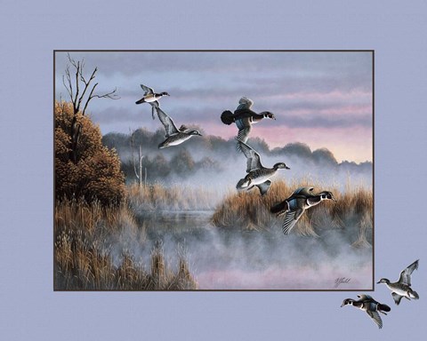 Framed Ducks In Flight 2 Print