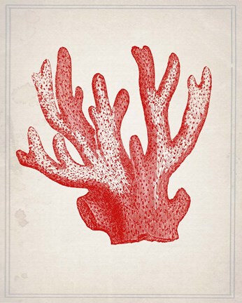 Framed Red Coral 3 Print
