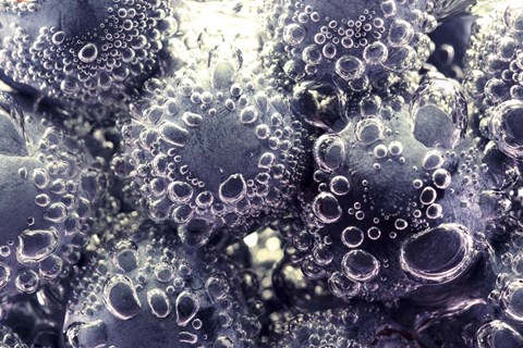 Framed Bubbling Blueberries Print